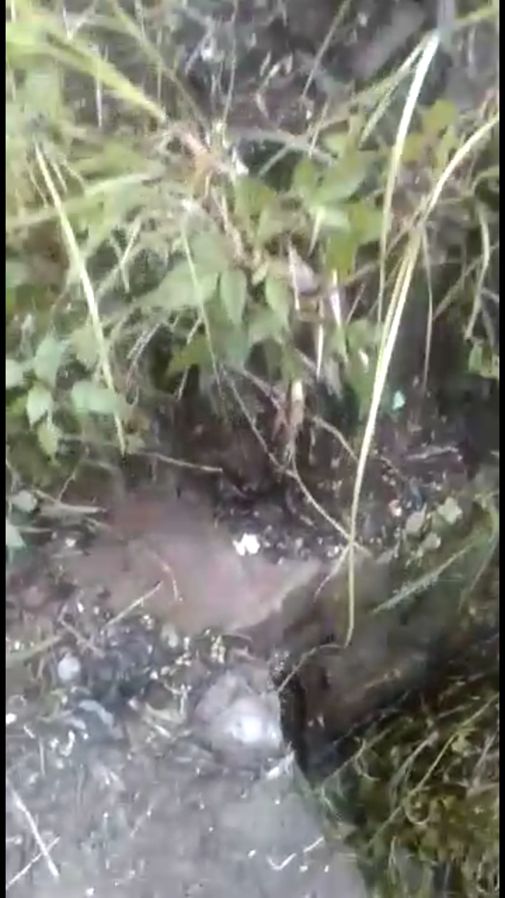 Info berita,Layanan PDAM,Kegiatan PDAM,gangguan layanan pdam,Berita PDAM,PERUMDA AMTS,PERUMDA AMTS Kabupaten Gianyar