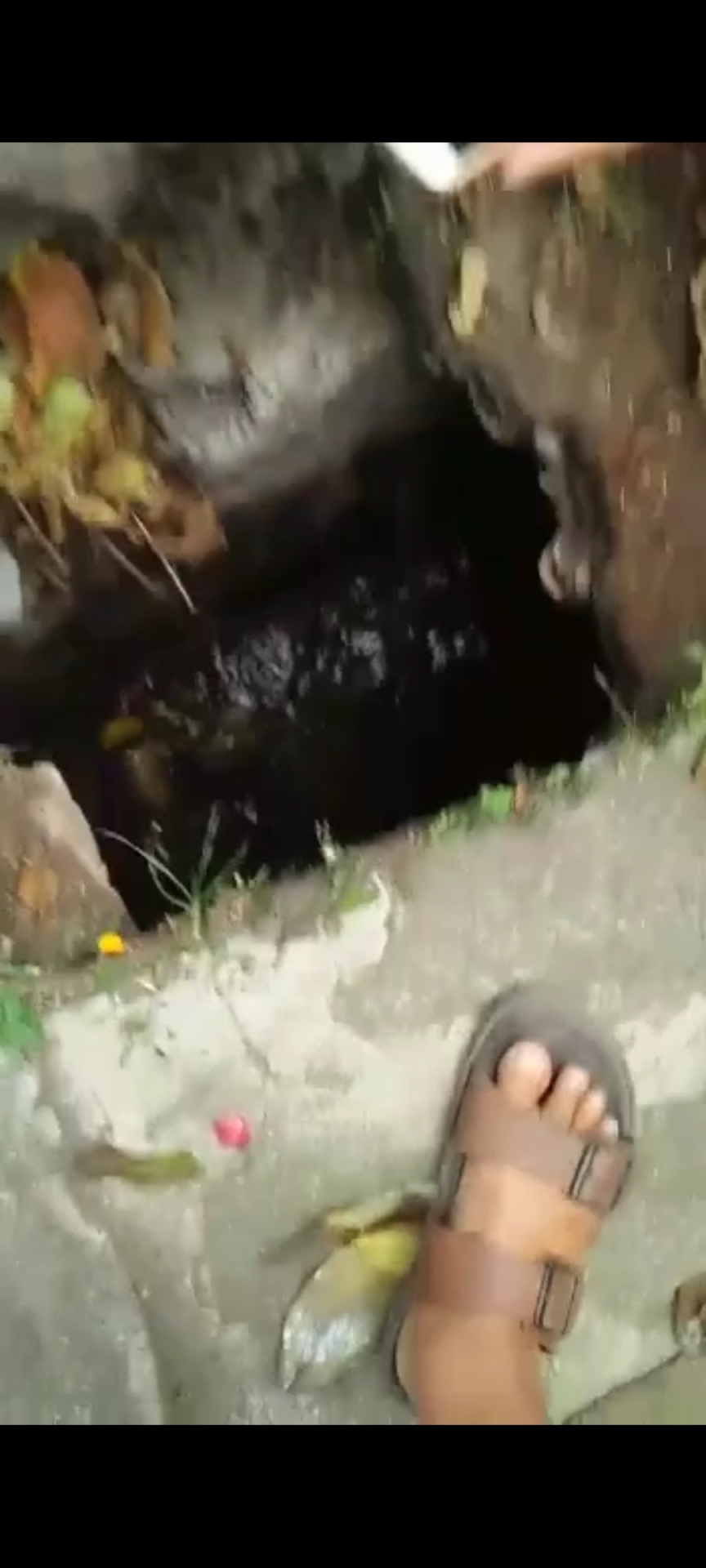 Info berita,Layanan PDAM,Kegiatan PDAM,gangguan layanan pdam,Berita PDAM,PERUMDA AMTS,PERUMDA AMTS Kabupaten Gianyar