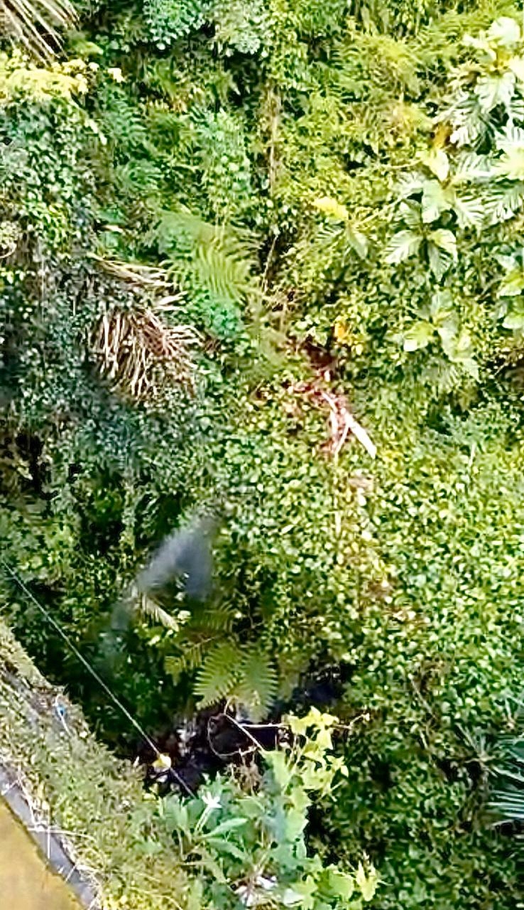 Info berita,Layanan PDAM,Kegiatan PDAM,gangguan layanan pdam,Berita PDAM,PERUMDA AMTS,PERUMDA AMTS Kabupaten Gianyar