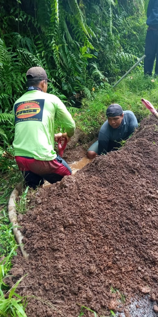 Info berita,Layanan PDAM,Kegiatan PDAM,gangguan layanan pdam,Berita PDAM,PERUMDA AMTS,PERUMDA AMTS Kabupaten Gianyar