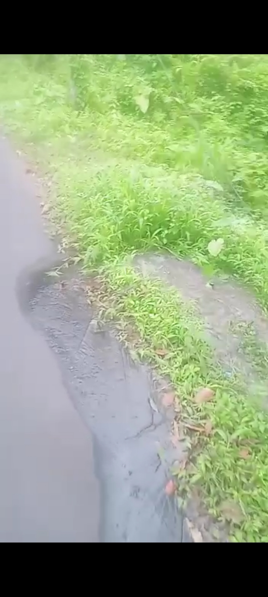 Info berita,Layanan PDAM,Kegiatan PDAM,gangguan layanan pdam,Berita PDAM,PERUMDA AMTS,PERUMDA AMTS Kabupaten Gianyar